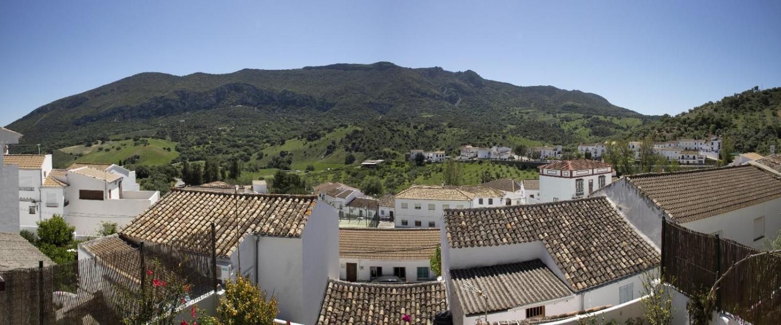 La Posada De La Muela 알고도날레스 외부 사진